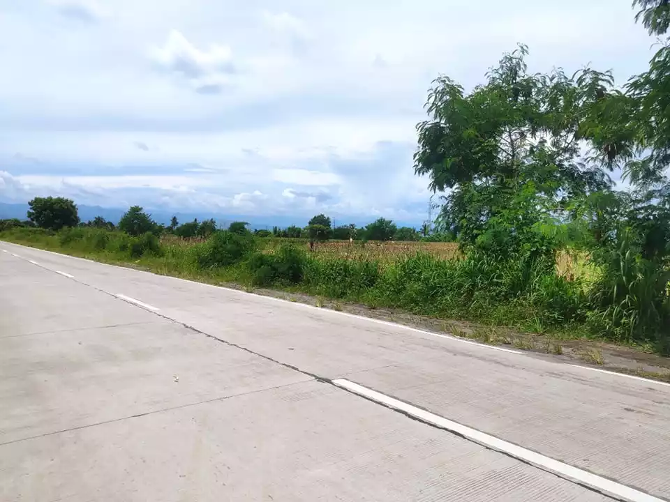 12 HECTARE PROPERTY ALONG THE ROAD CONEL GEN. SAN - photo 4