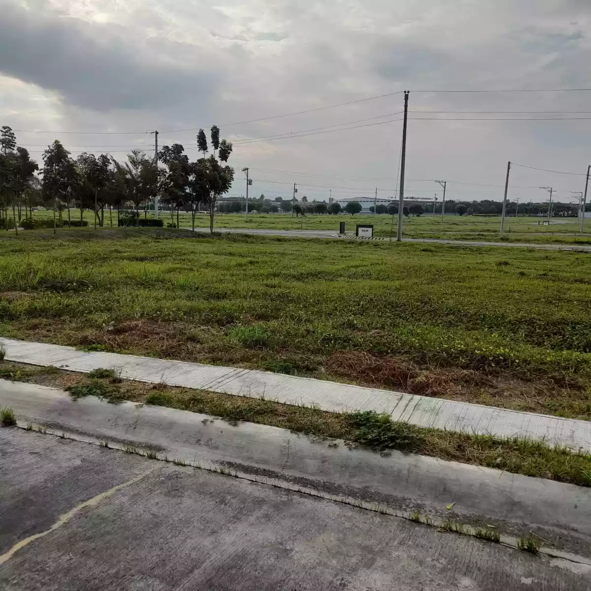 For Sale I 216 sqm Lot only @ Heather Street , Robinsons Bloomfield