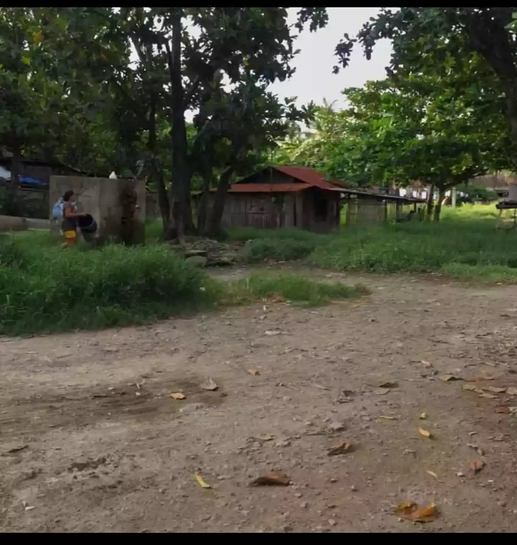 DUMLOG LOT FOR SALE - photo 4