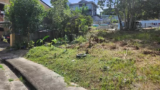 Corner lot for sale in Metropolis Subdivision Phase 2, Bacayan Cebu City — Residential Lot in Upper Bacayan, Cebu City, Cebu — Photo 4