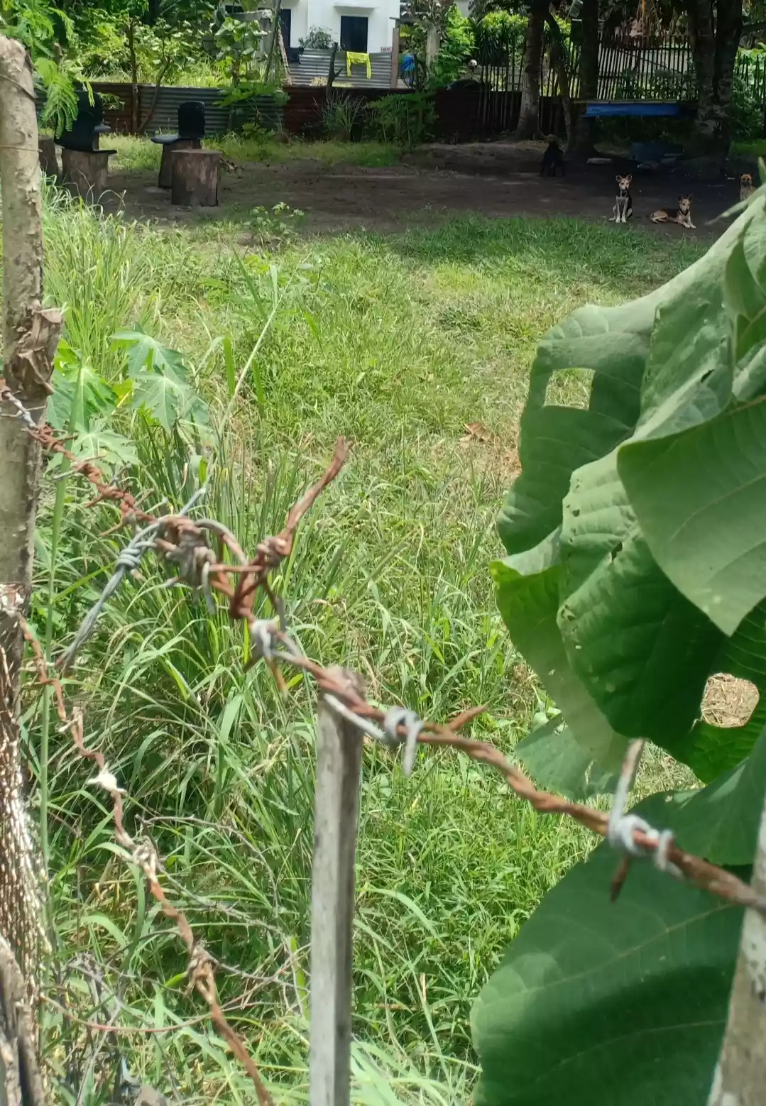 Lot For Sale — Residential Lot in N L S, A Road, General Santos City — Photo 3