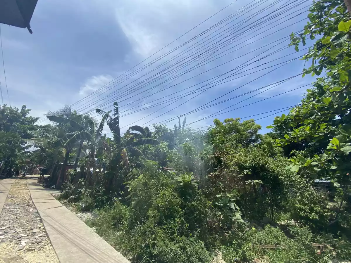 Alegria Cordova Lot for Sale
