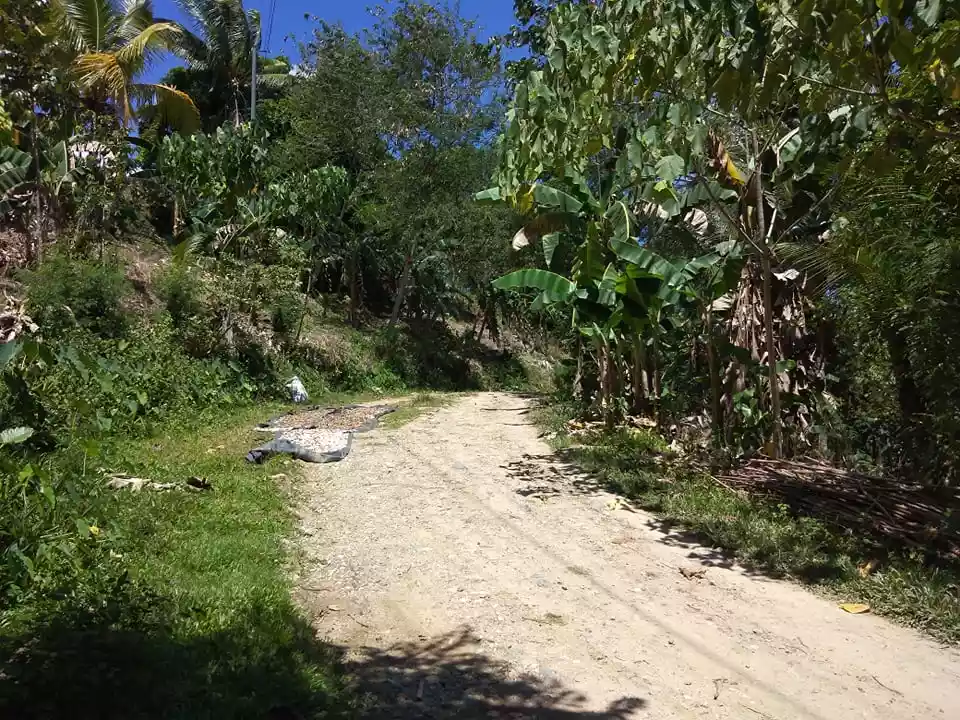 LOT FOR SALE in Sipalay city good for Residential and Inland Resort — Agricultural Lot in Negros Occidental, Philippines — Photo 4