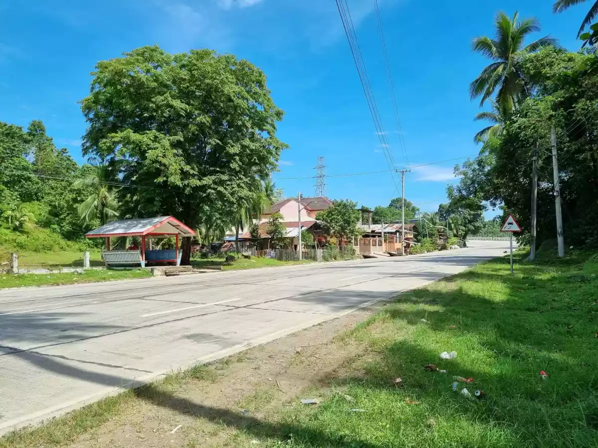 1.3 Hectares Land for Sale - photo 4