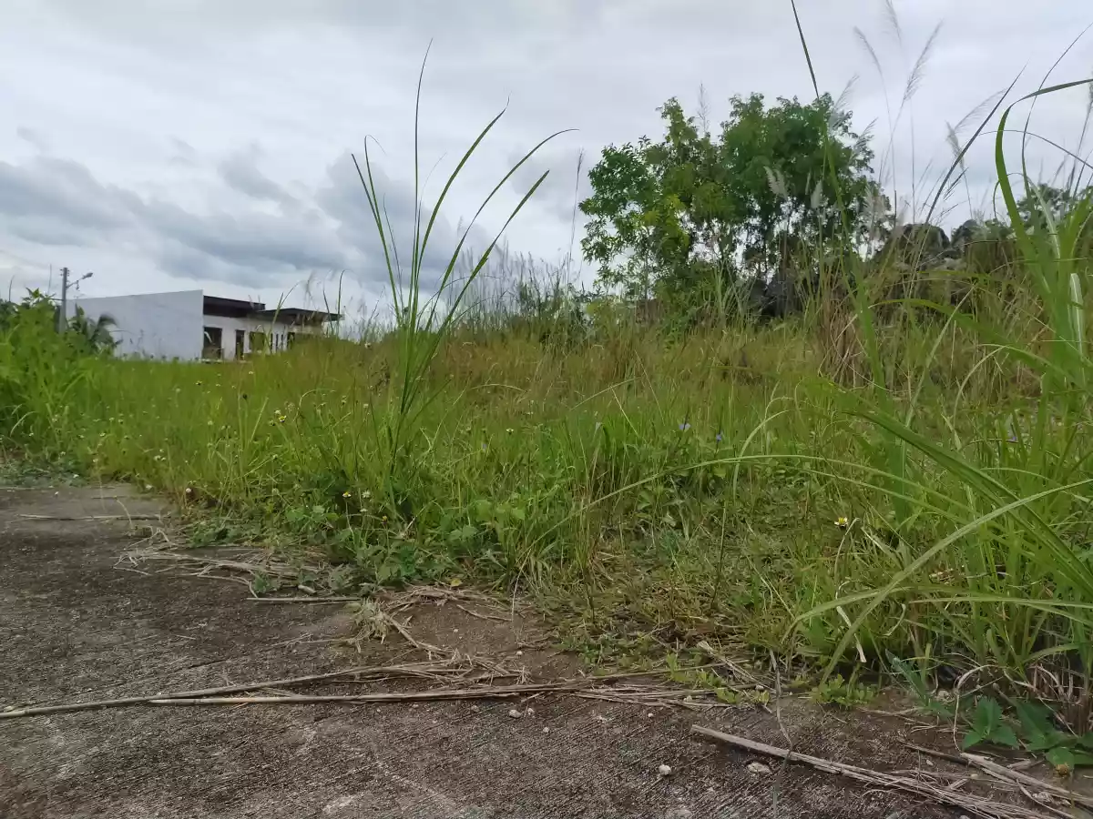 LOT for Sale in Vista Grande, Bulacao, Talisay City, Cebu - photo 6