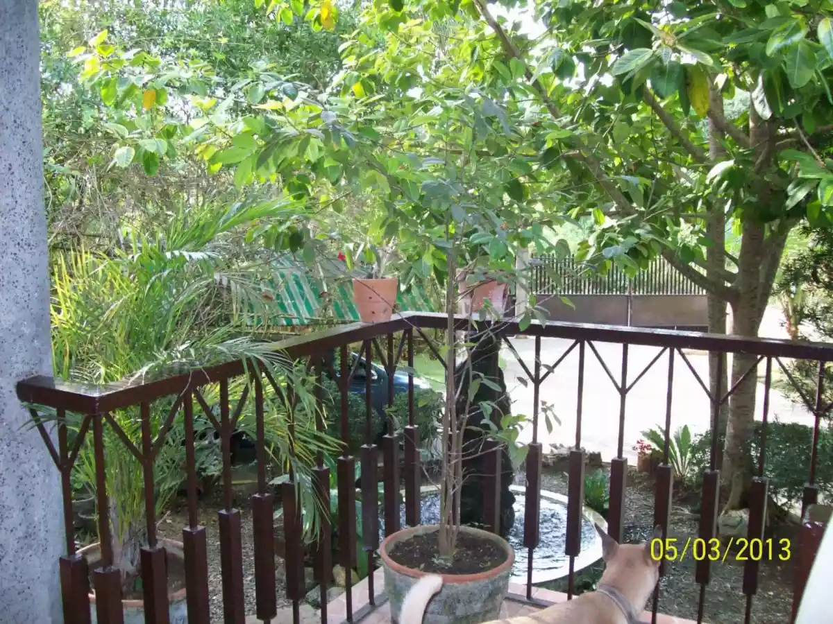 Near ICM 1400mÂ² House and lot on Tagbilaran City Bohol - photo 2