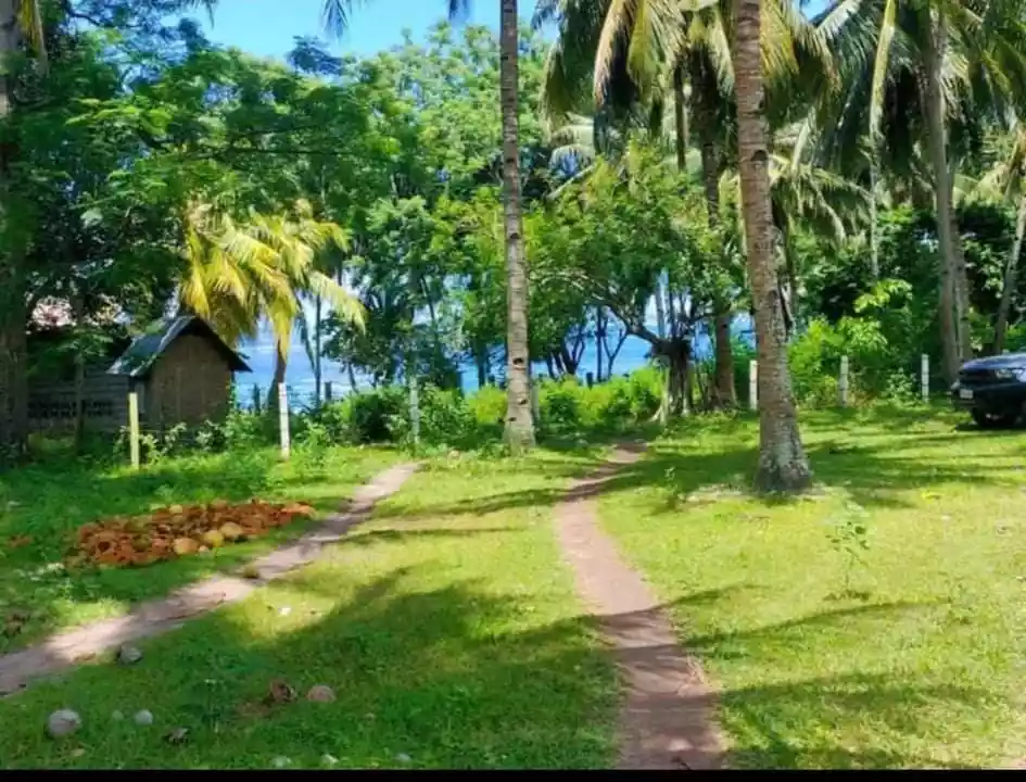 Maayong tubig Dauin beach property - photo 3