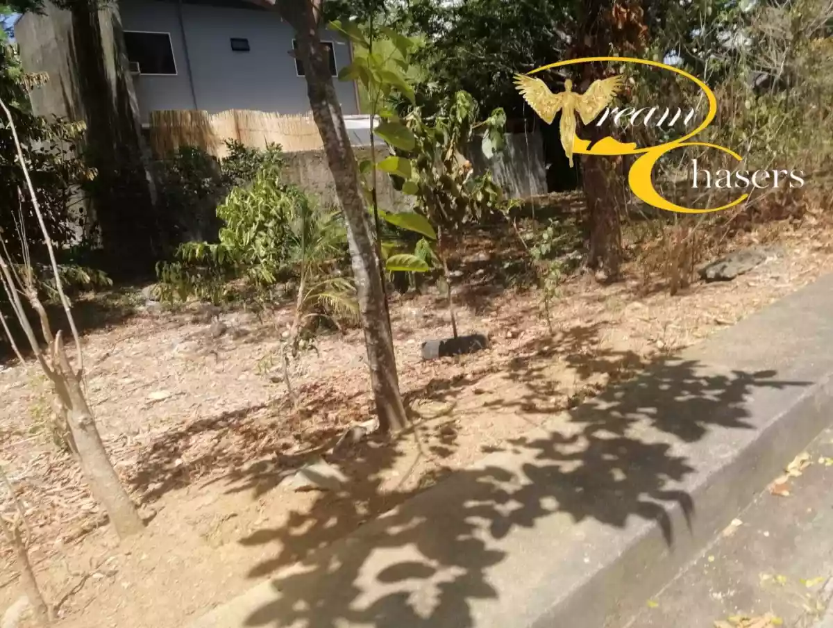 128 sqm Lot Only in Pulang-bato - photo 4