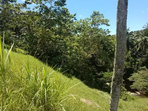 Open photo 19 of 27 — Very rush sale farm lot