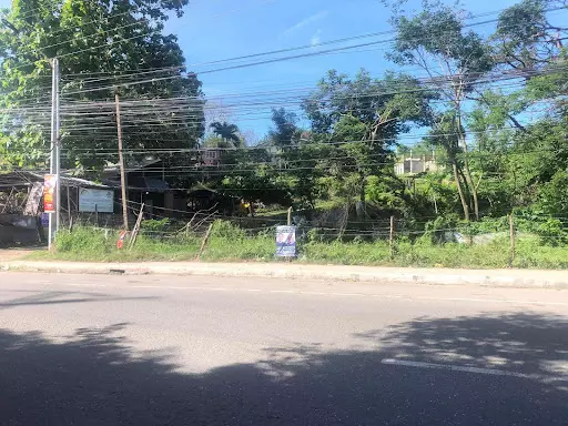 Lot for Sale in Danao City — Commercial Lot in Danao City, Cebu, Philippines — Photo 4