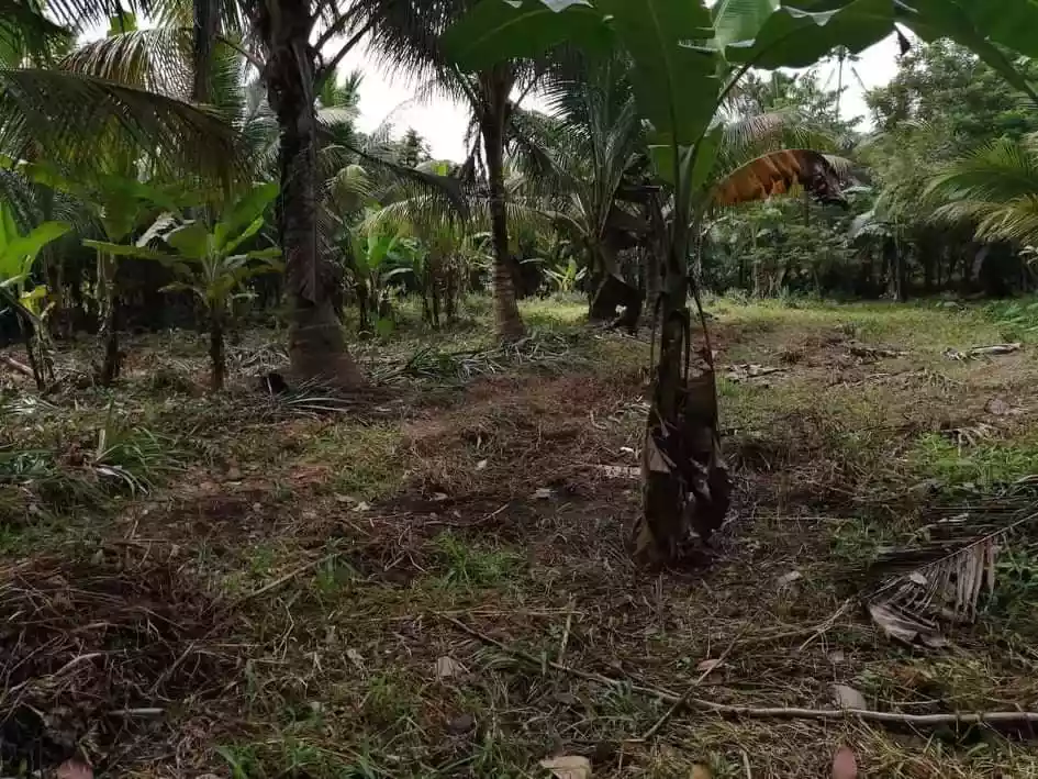 lot — Commercial Lot in Negros Occidental, Philippines — Photo 3