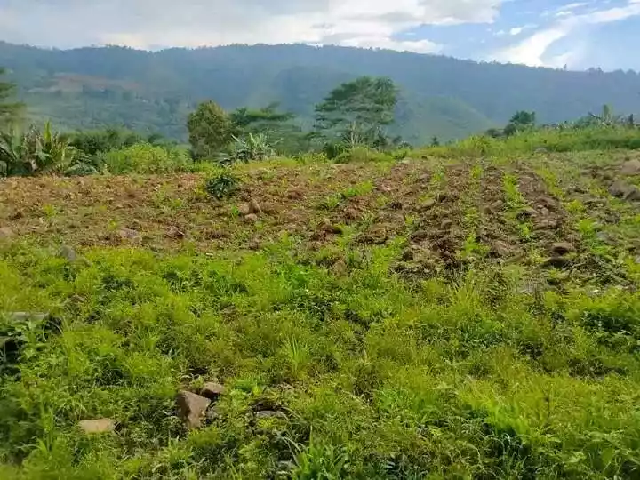7,400 sqm Lot for Sale in Mat-i, Claveria, Misamis Oriental - photo 7