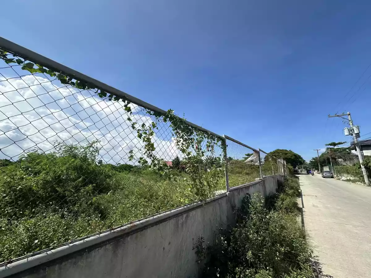 Commercial Land For Sale - photo 3