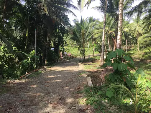 Agricultural/ Residential lot in Balamban for sale! — Agricultural Lot in Balamban, Cebu, Philippines — Photo 4
