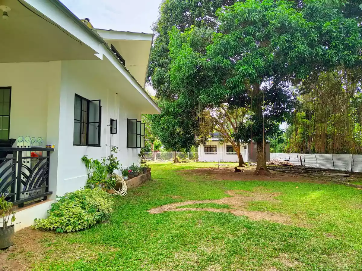 1,545 sqm Mini Farm Lot — House and Lot in Talomo, Davao City, Davao del Sur — Photo 4