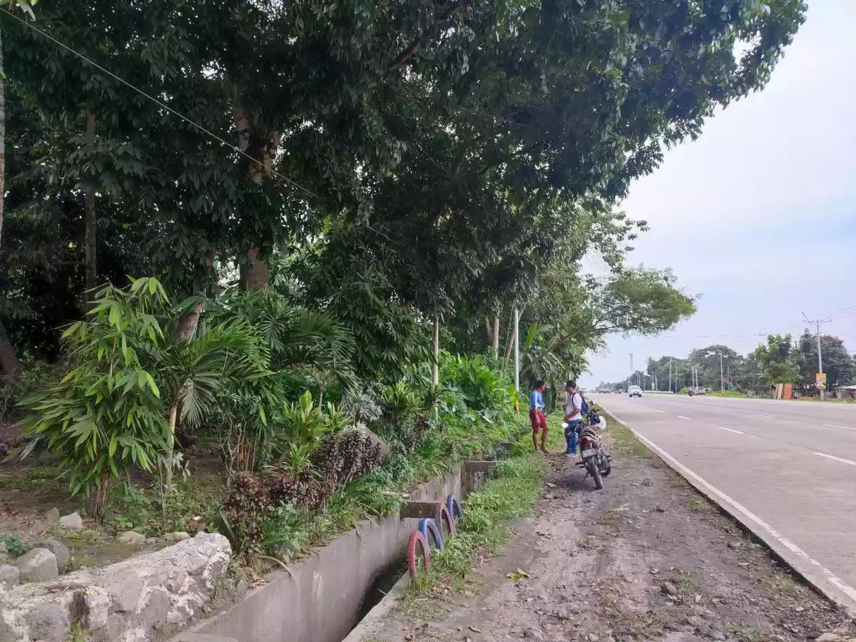 COMMERCIAL LOT FOR SALE — Commercial Lot in Polomolok, South Cotabato, Philippines — Photo 4