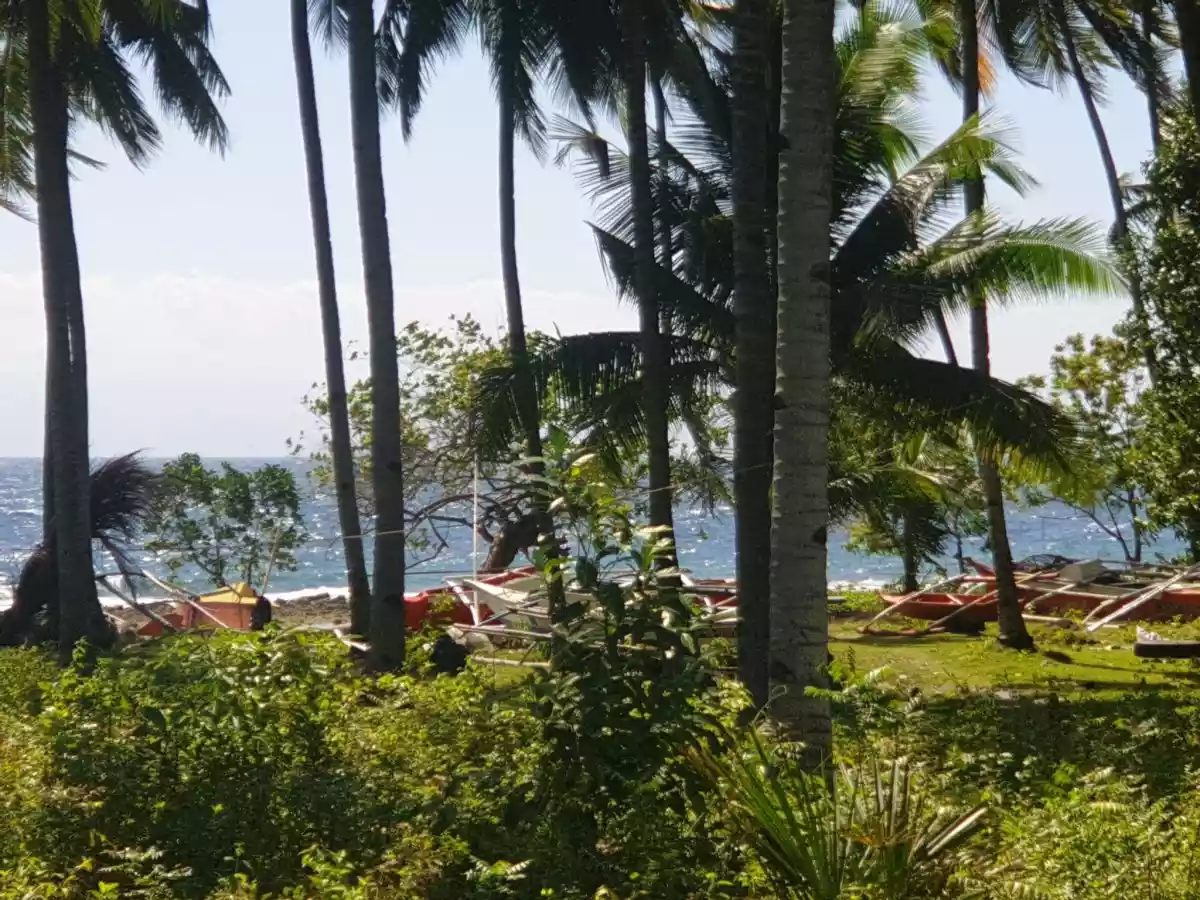 BEACH LOT FOR SALE — Agricultural Lot in Negros Oriental, Philippines — Photo 7