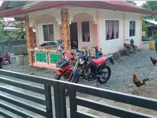 Rush Sale — House and Lot in Compostela Valley, Philippines — Photo 3