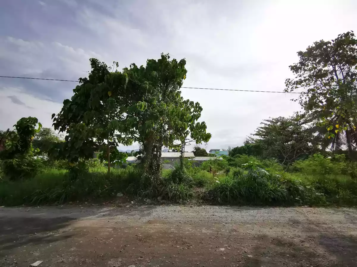 800 SQM TRIPLE CORNER COMMERCIAL PROPERTY — Commercial Lot in Poblacion, Koronadal City, South Cotabato — Photo 3