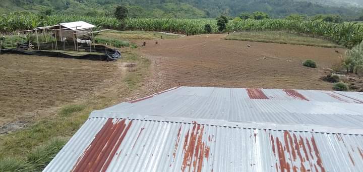 HOUSE AND LOT WITH FARM LOT FOR SALE