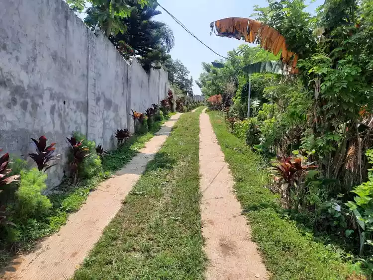 Tagaytay HOT Overlooking Lot w FREE Bungalow   - photo 4