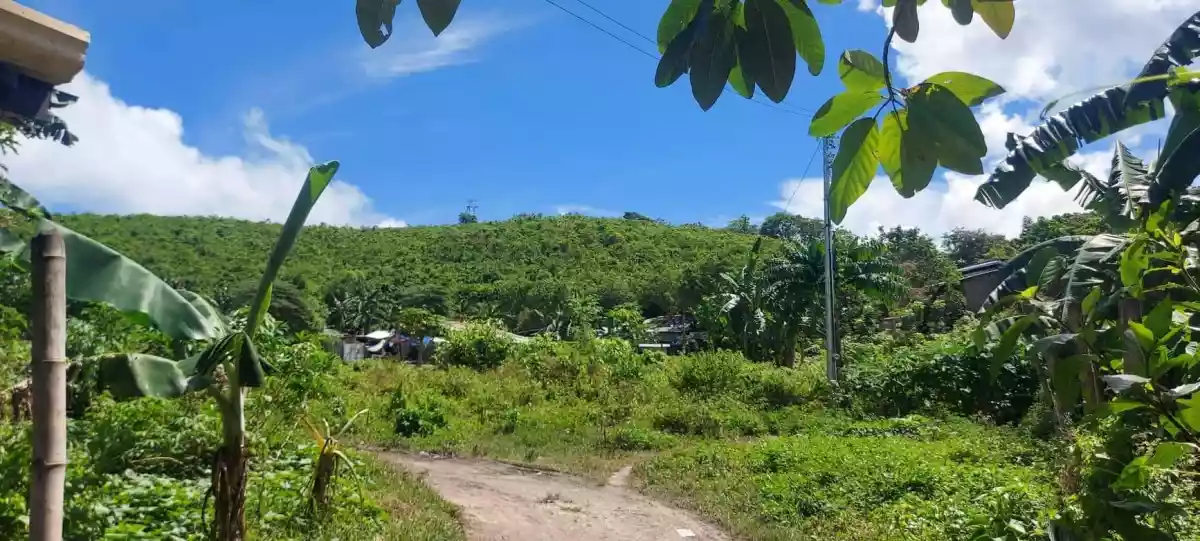 Lot for Sale - photo 7