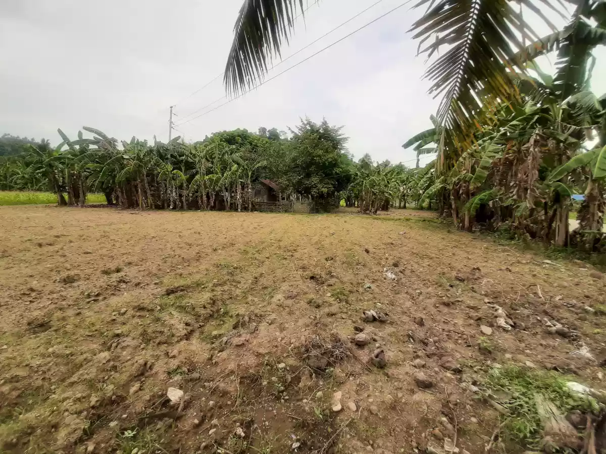 AGRICULTURAL LAND IN TOLEDO - photo 3
