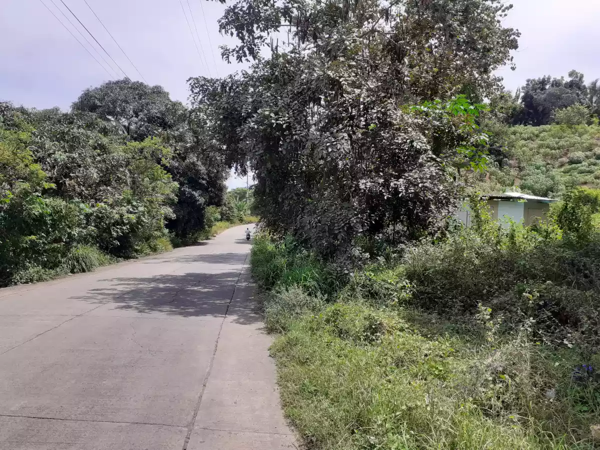 Lot for sale @ Upper Agusan CDO 800sqm — Agricultural Lot in Cagayan de Oro, Misamis Oriental, Philippines — Photo 5