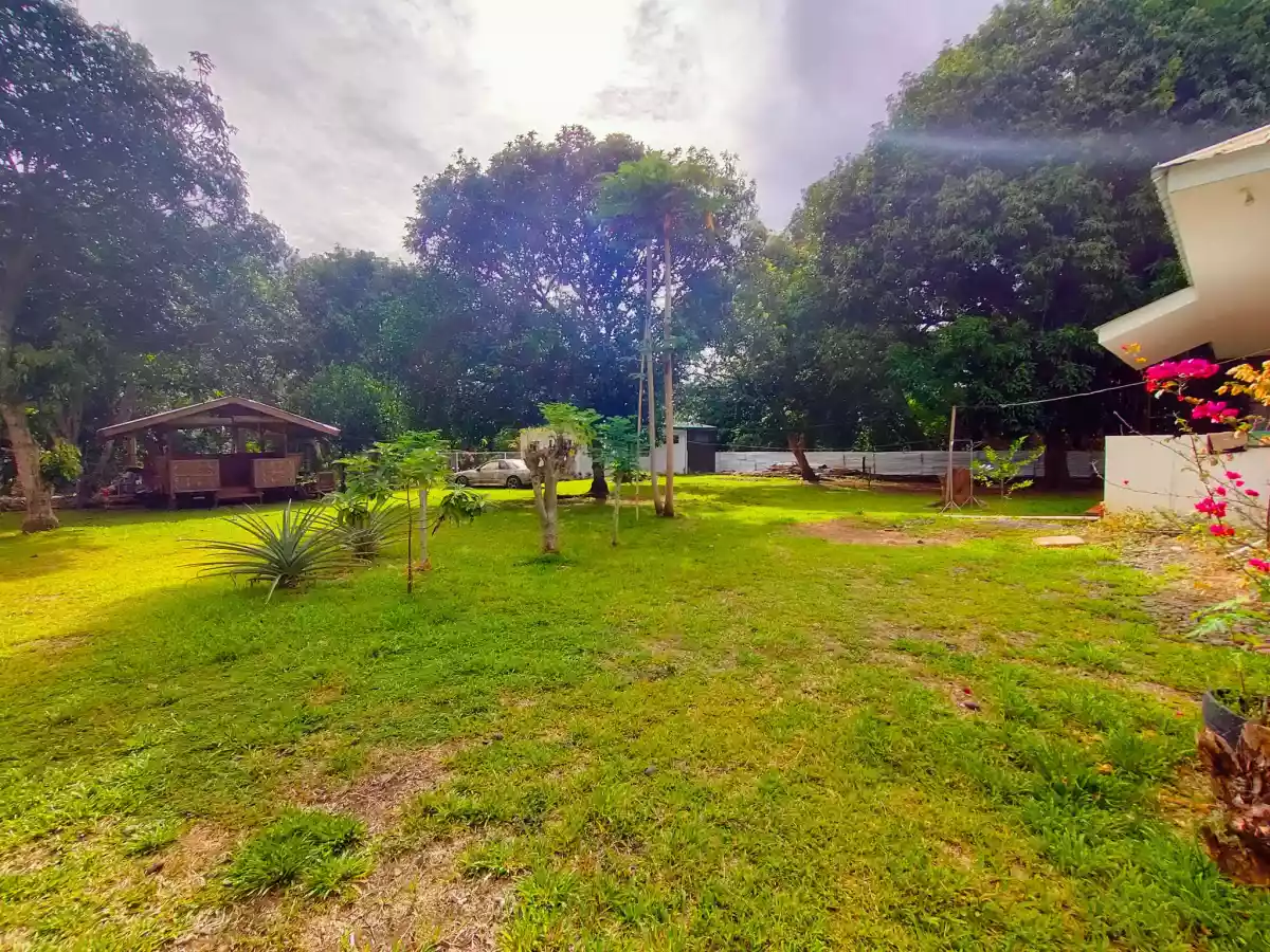 1,545 sqm Mini Farm Lot — House and Lot in Talomo, Davao City, Davao del Sur — Photo 6