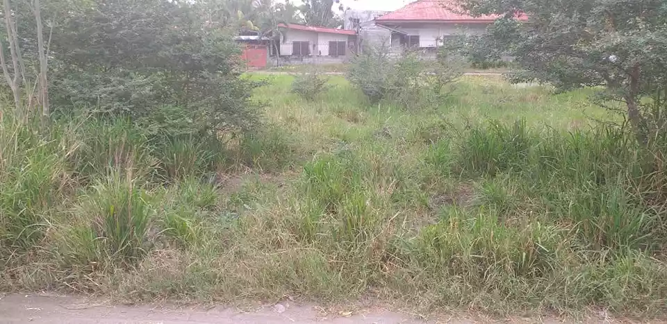 FS: 812 sqm Residential property in City Heights, GSC..... OPEN FOR TERMS - photo 4