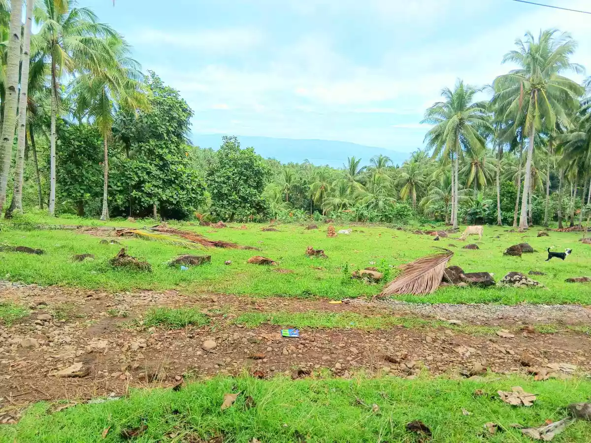 Overlooking Lot for Sale In Maningcao,Sibulan,Negros Oriental - photo 5