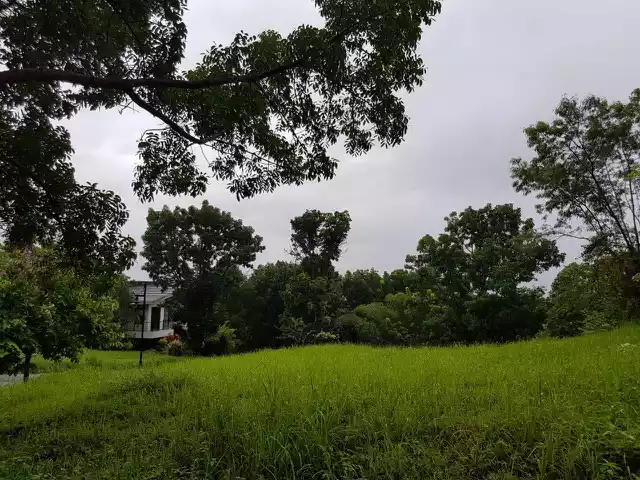 RUSH SALE PRIME CORNER LOT IN CANYON WOODS OVERLOOKING TAAL LAKE - photo 5