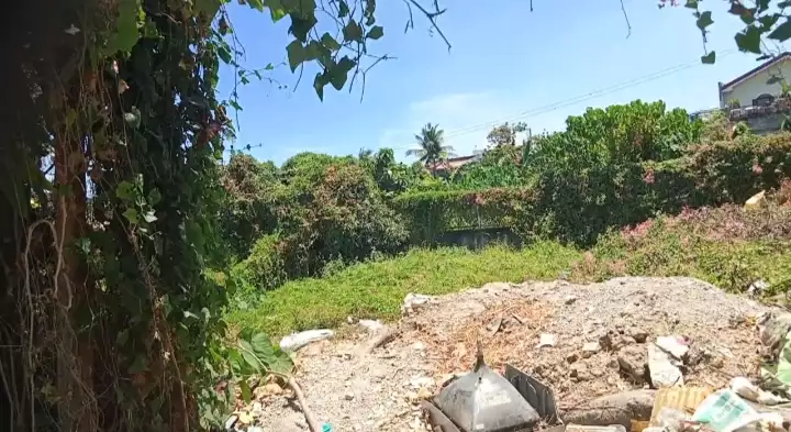 LOT FOR SALE — Residential Lot in Minglanilla, Cebu, Philippines — Photo 3
