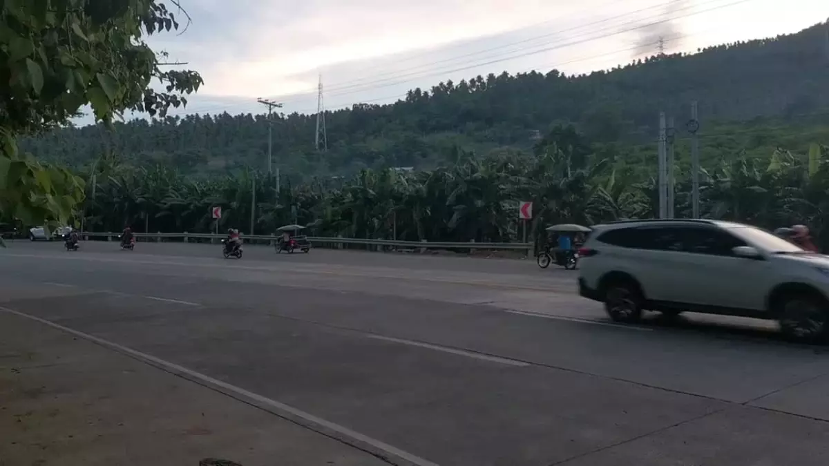 Commercial Lot along the National Highway of Sta. Cruz, Davao del Sur - photo 7