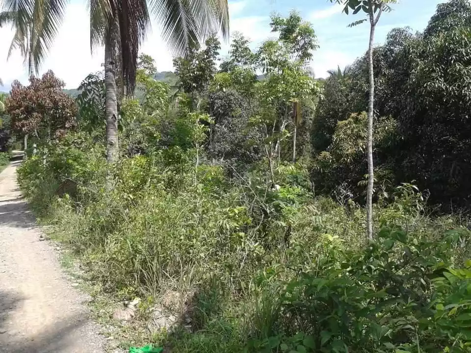 LOT — Agricultural Lot in Balamban, Cebu, Philippines — Photo 2