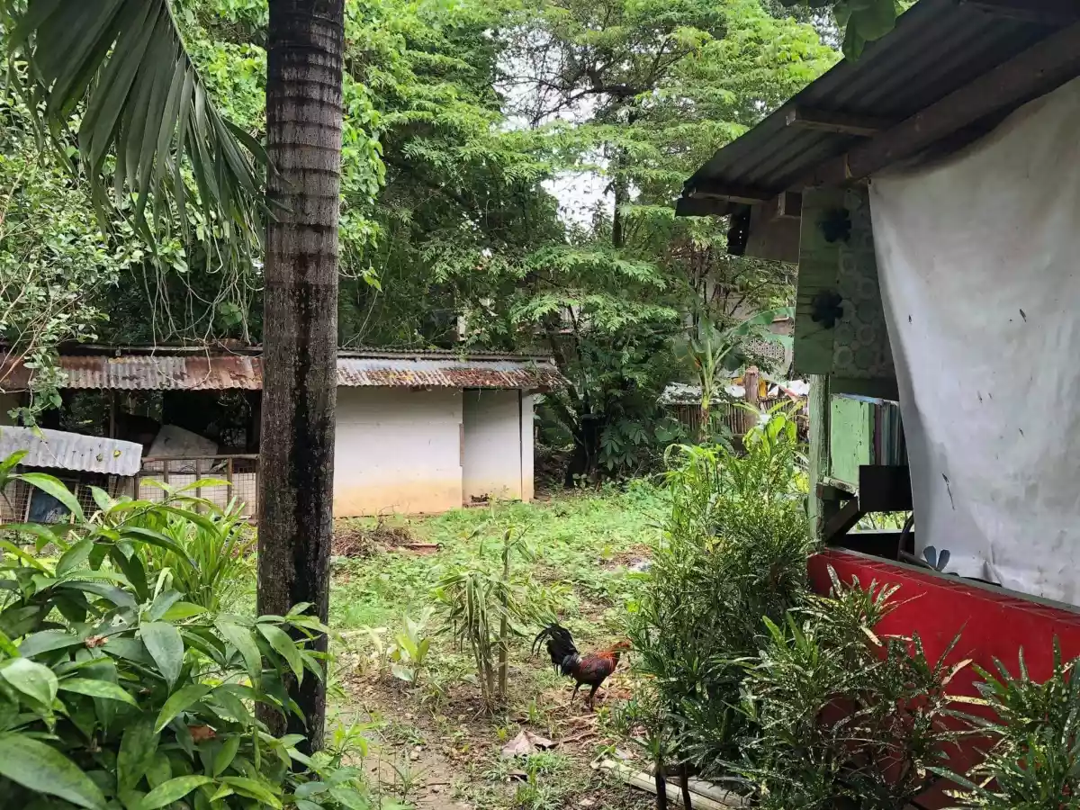 Lot for Sale - photo 2