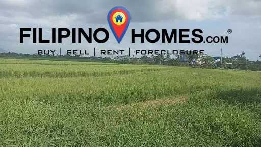 Agri Lot — Agricultural Lot in Naga, Camarines Sur, Philippines — Photo 3