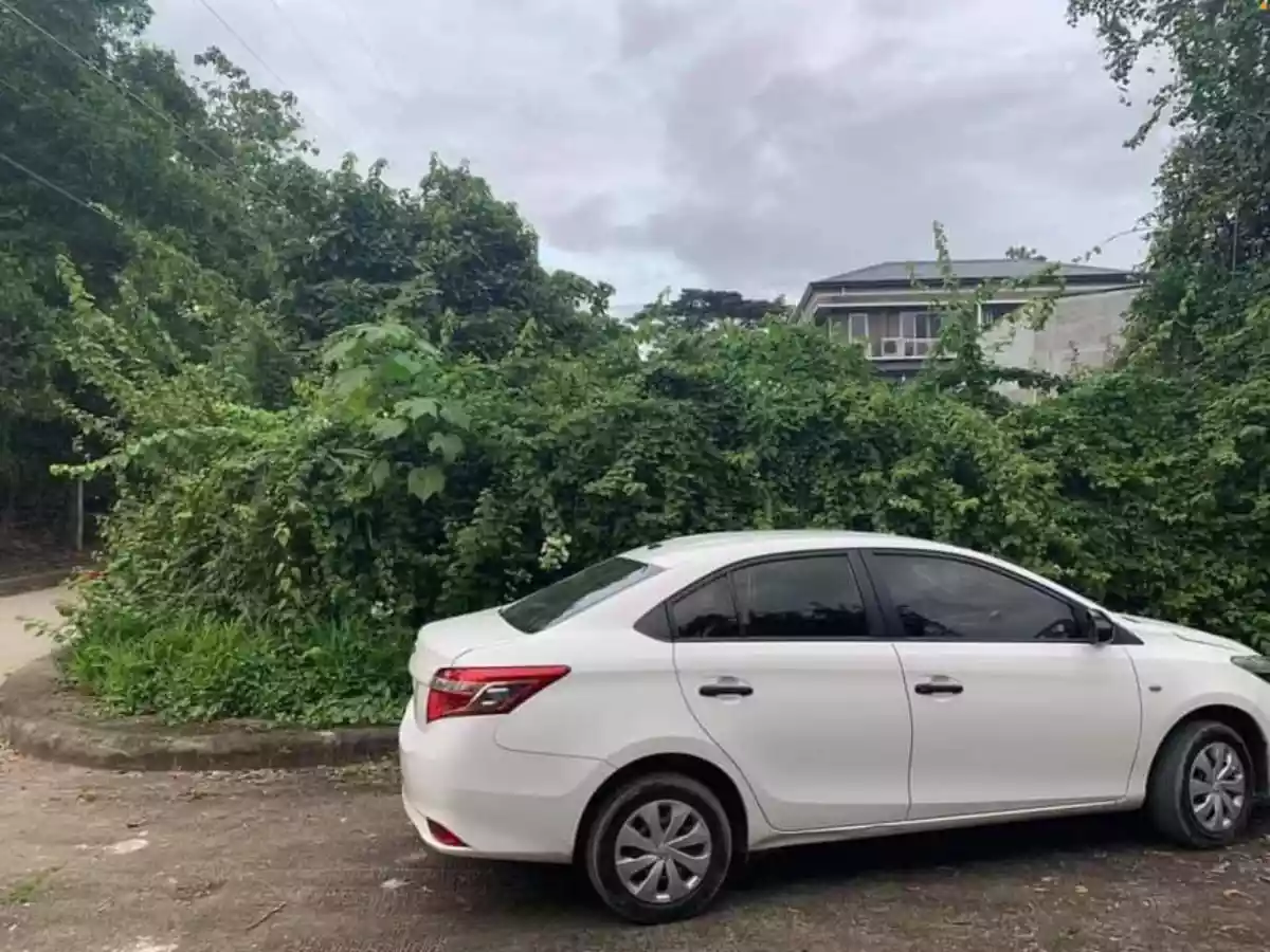 Lot for Sale  - photo 6