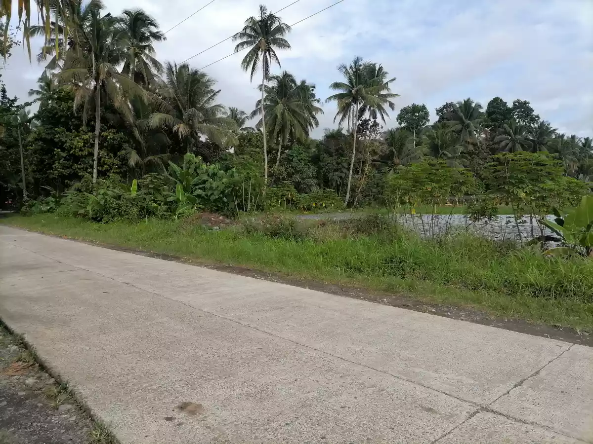 10 titled residential lot — Residential Lot in Agusan Del Norte, Philippines — Photo 3