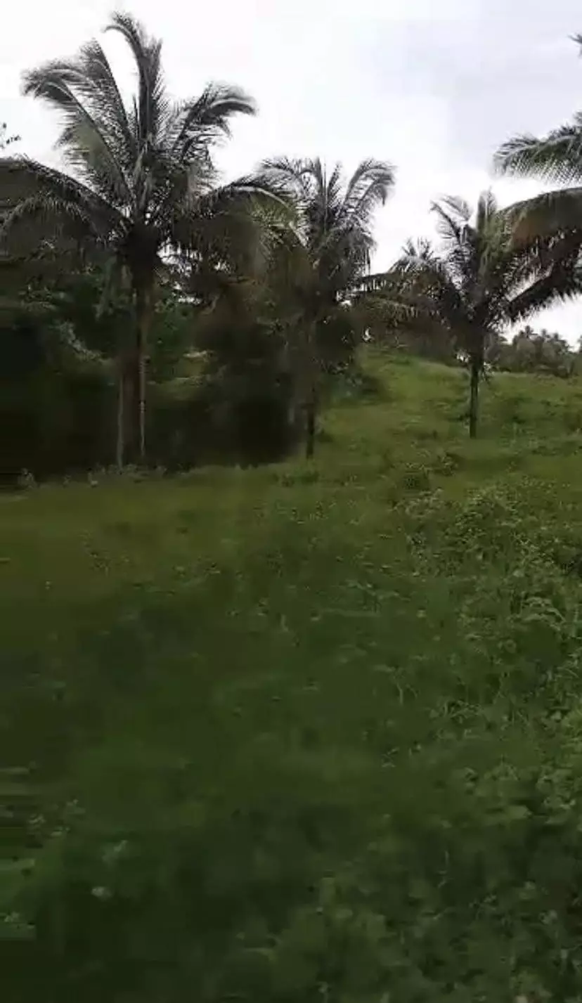 Lot For Sale in Ormoc Leyte — Residential Lot in Leyte, Philippines — Photo 3