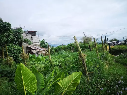 RUSH LOT FOR SALE — Residential Lot in Naga, Camarines Sur, Philippines — Photo 4