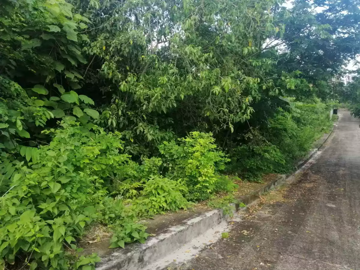 LOT ONLY AT SUMMERHILLS SUBD. — Residential Lot in Compostela, Cebu, Philippines — Photo 3