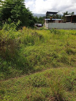 Individual 200qm lots in HV Subdivision Badian for Sale — Residential Lot in Badian, Cebu, Philippines — Photo 4