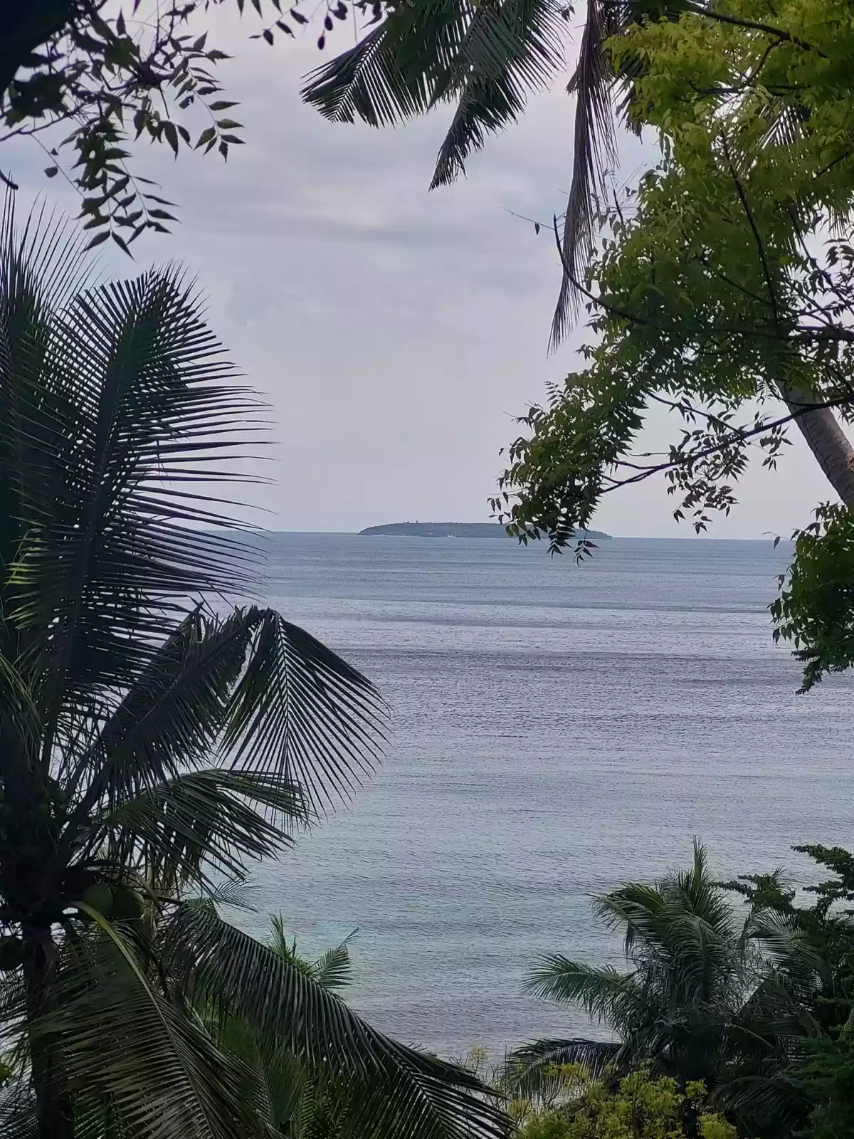 BEACH LOT for SALE in Oslob, Cebu for 25M — Beach Lot in Oslob, Cebu, Philippines — Photo 4