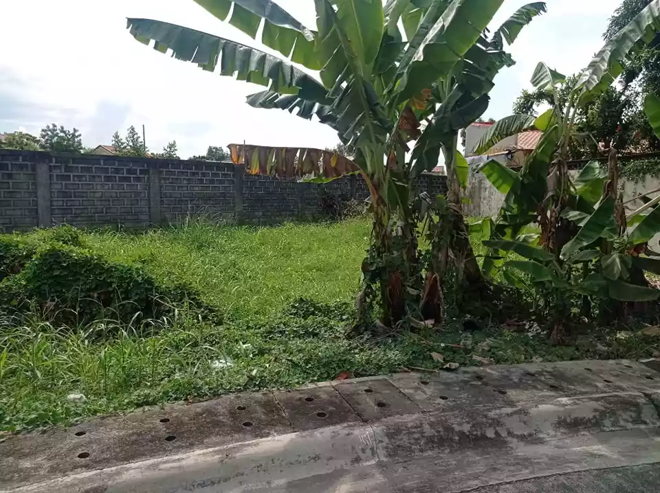 SUBDIVISION LOT FOR SALE: - photo 2