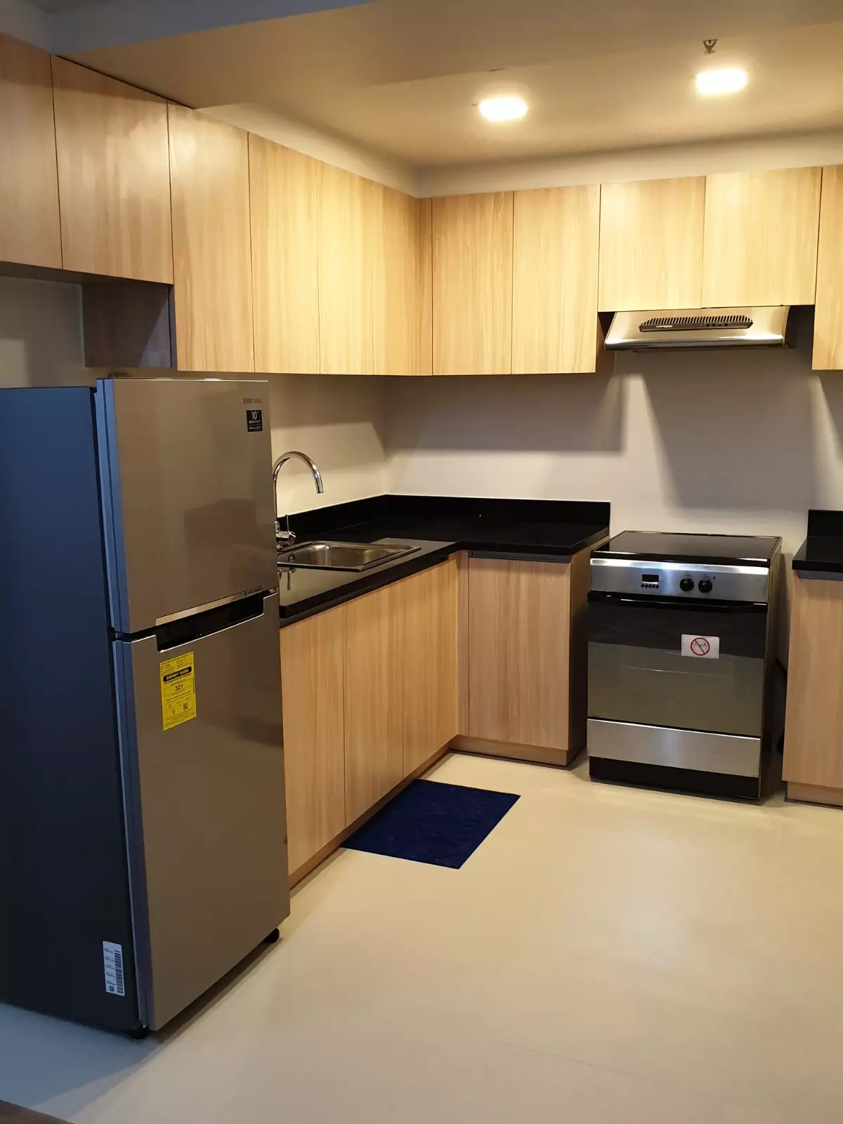 1BR for Rent in Solinea T3 - photo 4