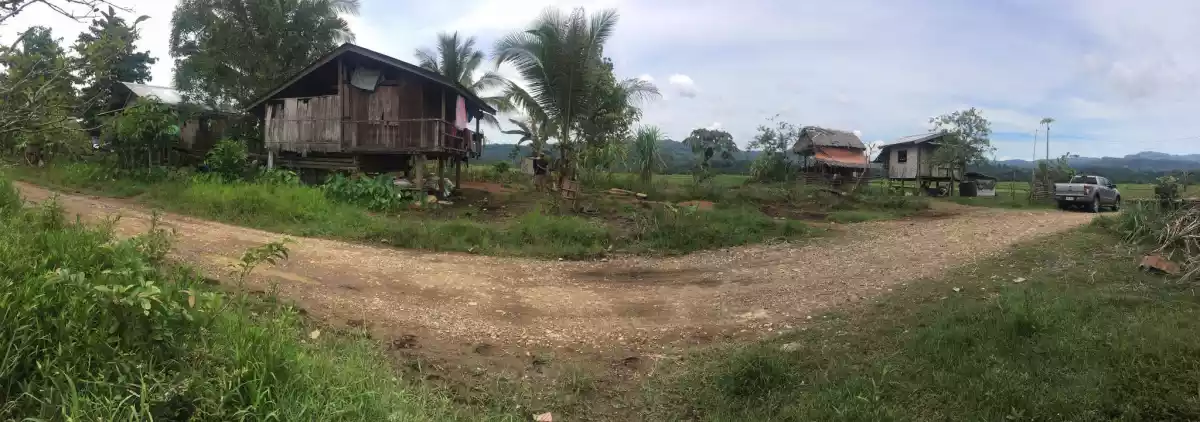 Rice Field for Sale