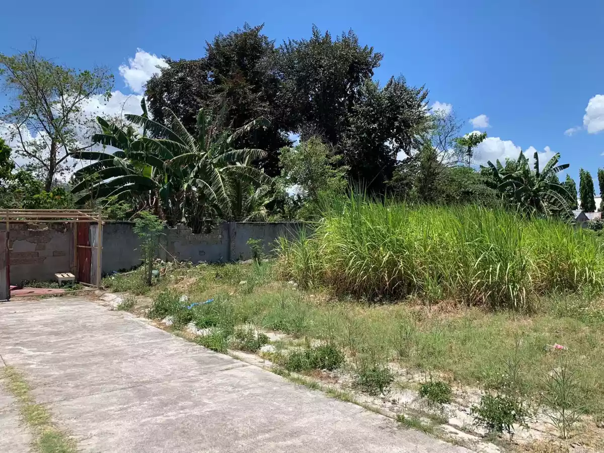 LOT ONLY FOR SALE INSIDE MIDORI PLAINS SUBDIVISION!! - photo 2