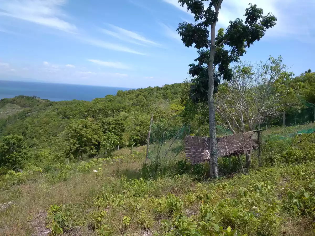 Overlooking Lot for Sale - photo 3