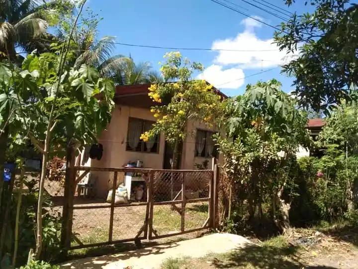 Tibungco house and lot — House and Lot in Philippines — Photo 4